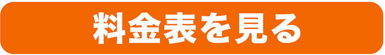 サブ画像